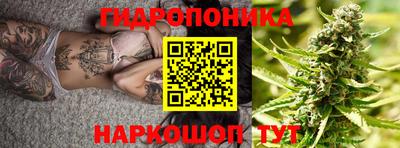 прущие крисы Кимры