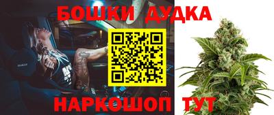 прущие крисы Кимры