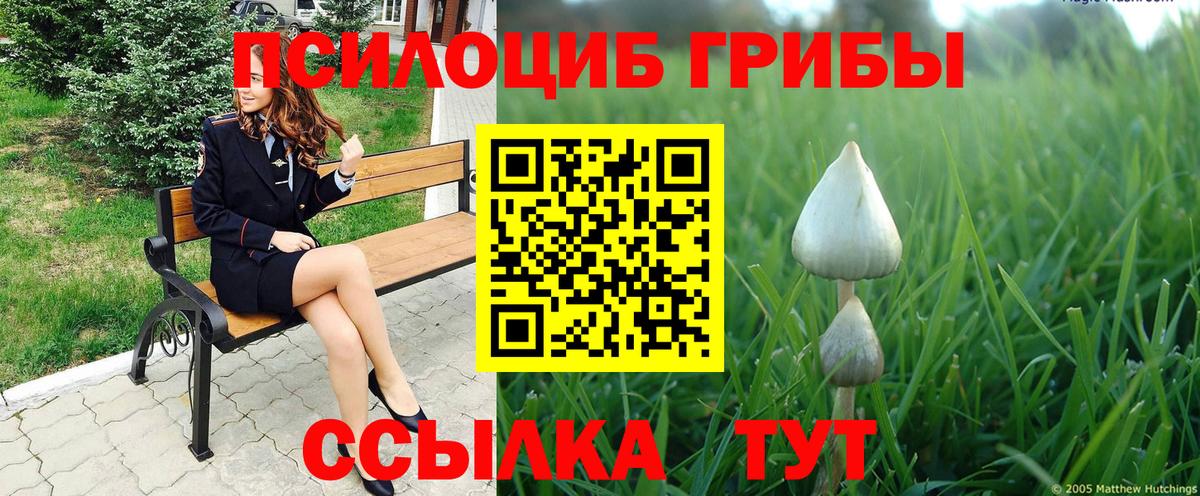 Галлюциногенные грибы прущие грибы  Вход с VPN  Коммунар 